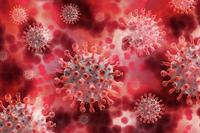 What is Coronavirus in Sri Lanka